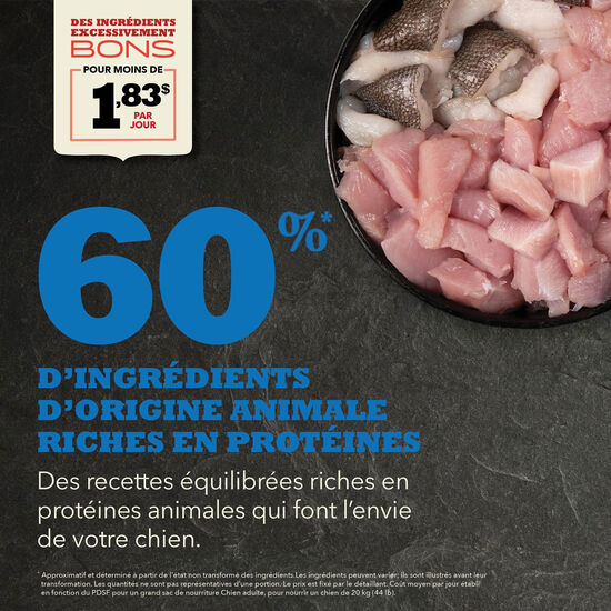 Recette au poulet frais élevé en liberté et merlu cru pour chiens adultes, 6 kg Image NaN