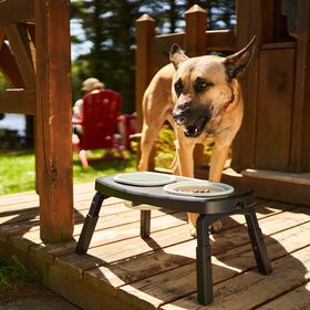 Double gamelle pliante portable pour chiens