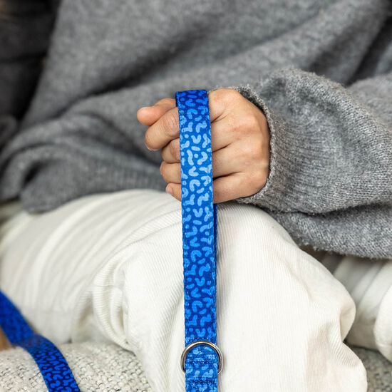 Dog Leash Image NaN