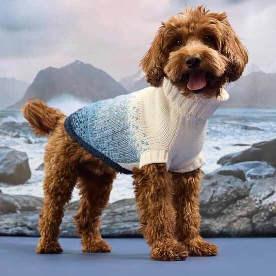 Pull col roul&eacute; sculpt&eacute; pour chiens, Bleu marin Image NaN