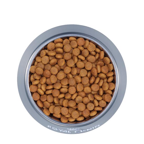 Nourriture sèche formule nutrition santé pour chats âgé stérilisé 12+ Image NaN