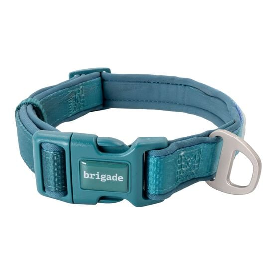 Neoprene Collar for Dogs, Green Gradient Image 1.0