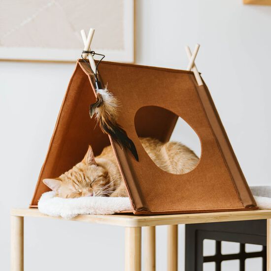 Tente pour chats Image NaN