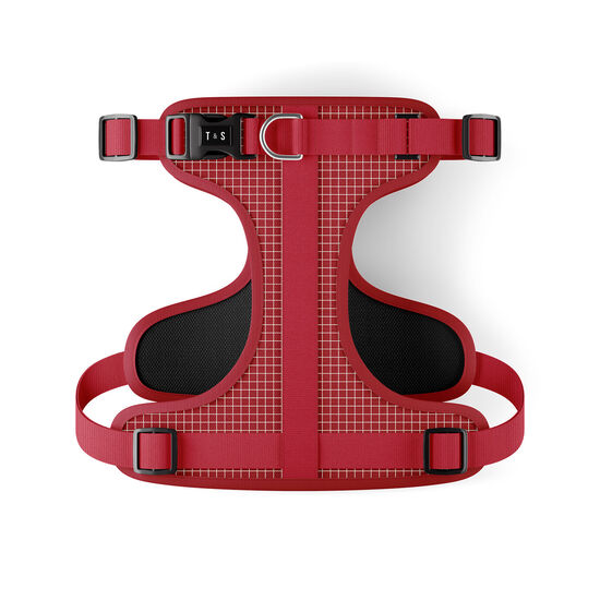 Harnais réglable pour chiens Image NaN