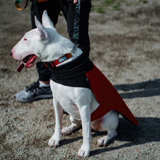 Wintertide Orange Dog Coat, 20 Woof Concept 033 OGE Mondou