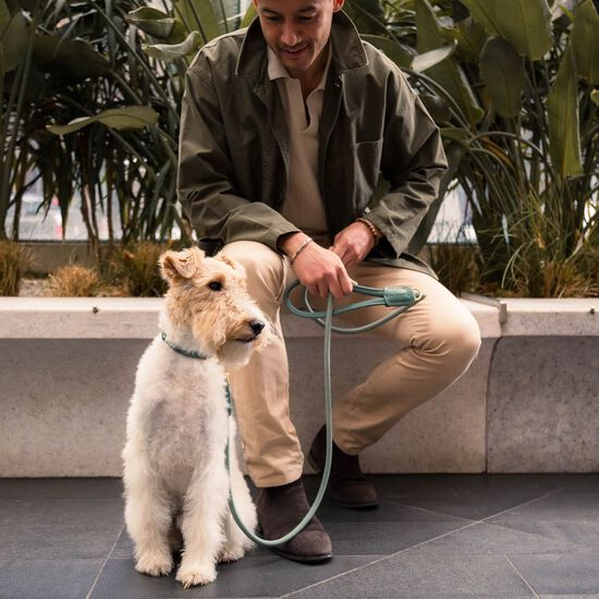 FuzzYard Life Atelier Dog Lead, Myrtle Green Image NaN