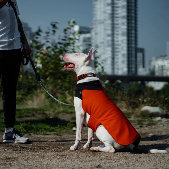 Manteau d’hiver orange pour chien, 12 Image NaN