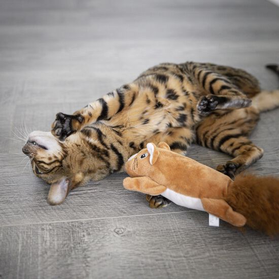 Écureuil électronique Image NaN