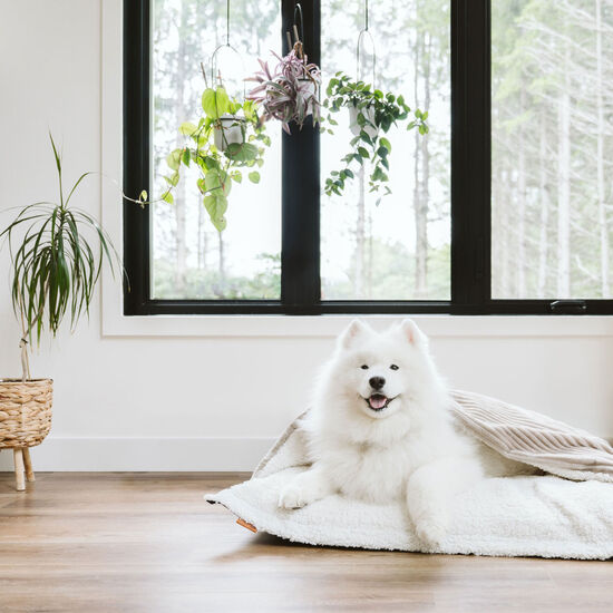 Coussin nuage caverne Image NaN