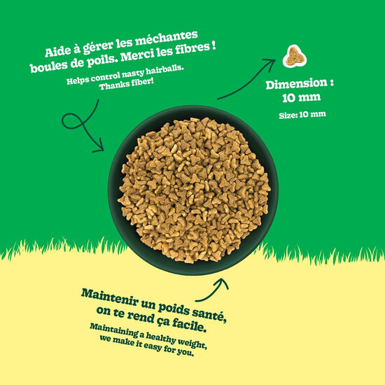 Nourriture sèche recette au poulet pour chats adultes, 10 kg Image NaN