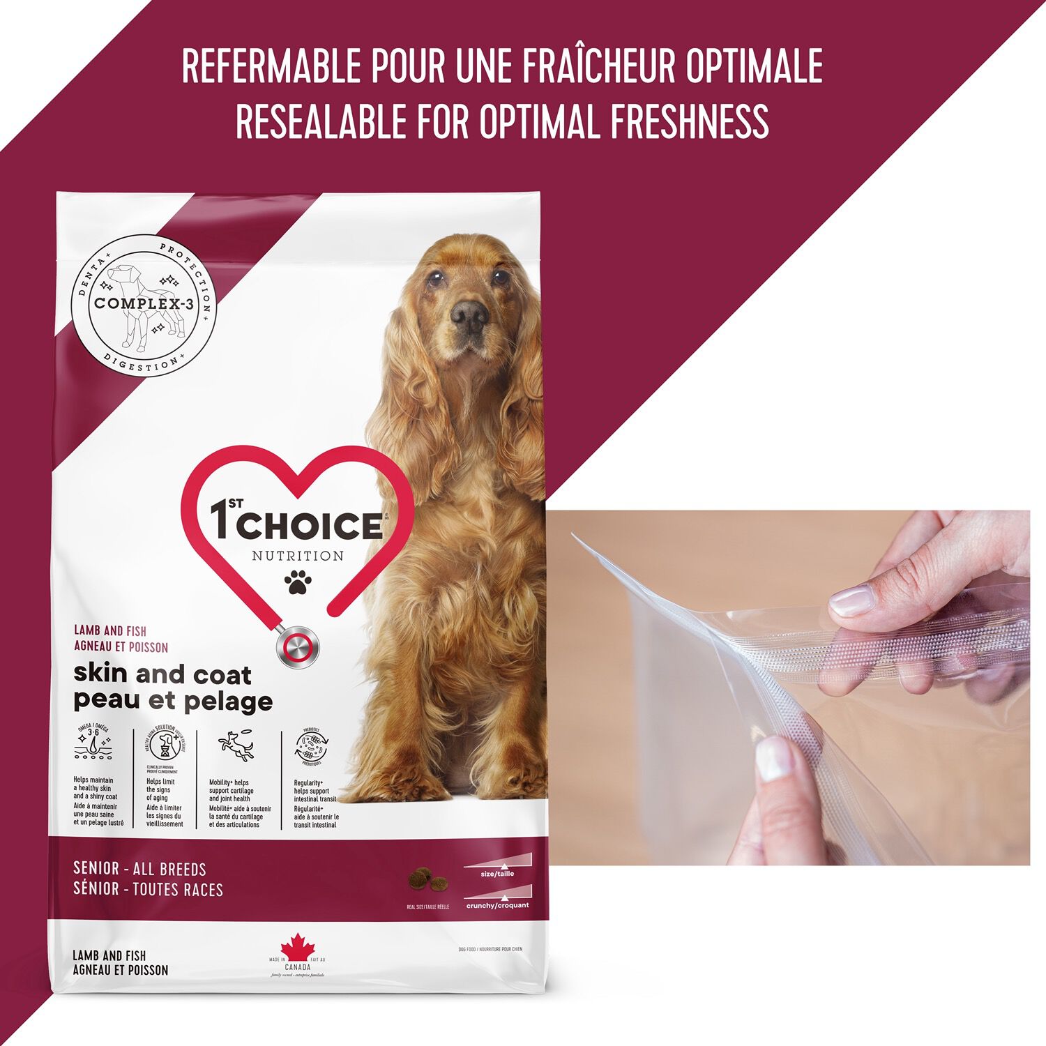 Alphazoo Lavellness Shampooing Pour Chien 250 Ml – Nettoyage Et Entretien Doux Avec Extrait De Noix De Coco Et Huile De Lavande – Pour Fourrure Sensible, Sans Paraben Et Sans Silicone, Brillance