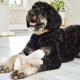 Enrichment Twisted Toy for Dogs