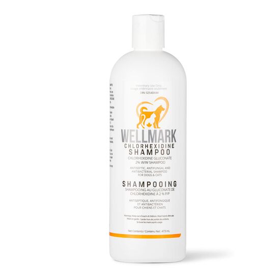 Shampoing &agrave; la chlorhexidine, 473 ml Image NaN