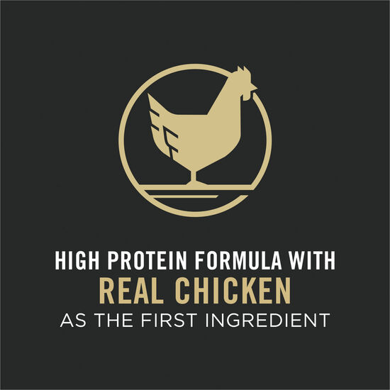 Nourriture sèche formule spécialisée « LiveClear » au poulet et riz pour chats, 1,59 kg Image NaN