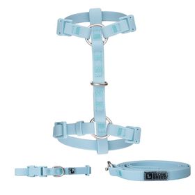 Ensemble de promenade en silicone pour petits chiens, Bleu glac&eacute;