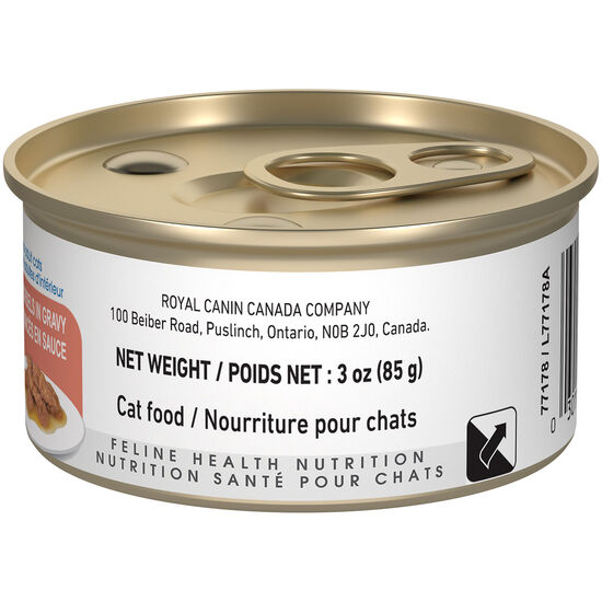 Indoor Adult Cat Wet Food Image NaN