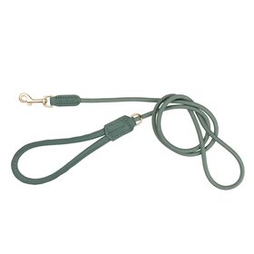 Laisse FuzzYard Life Atelier pour chiens, vert myrte