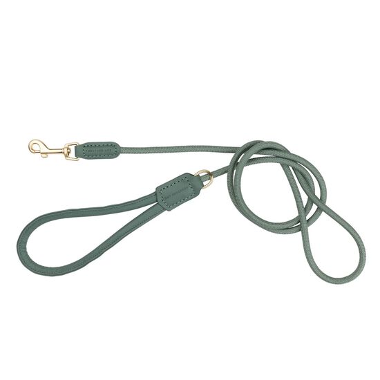 Laisse FuzzYard Life Atelier pour chiens, vert myrte Image NaN