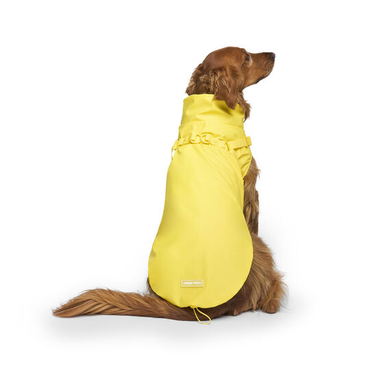 Harness Raincoat for Dogs Image NaN