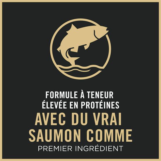 Specialized Sensitive Skin and Stomach Salmon and Rice Dry Food for Kitten, 1.59 kg Image NaN