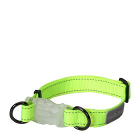 Neon Light dog collar