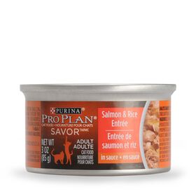 Salmon and rice wet food for adult cats