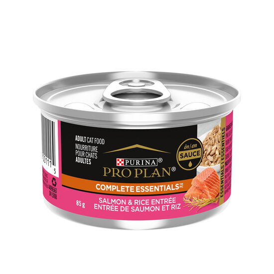 Salmon and rice wet food for adult cats Image NaN