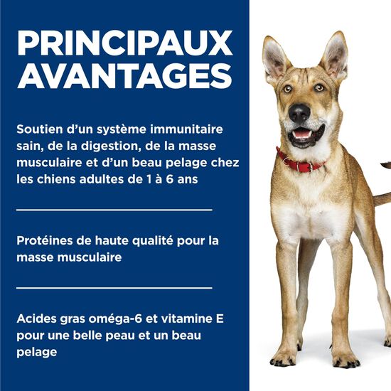 Entr&eacute;e de boeuf et d'orge pour chiens adultes 1-6, 370 g Image NaN