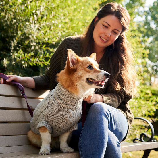 Pull Chalet pour chiens Image NaN