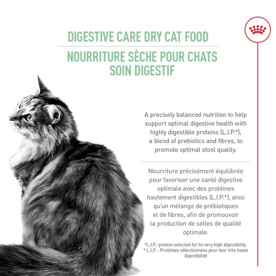 Formule soin digestif pour chats adultes Image NaN