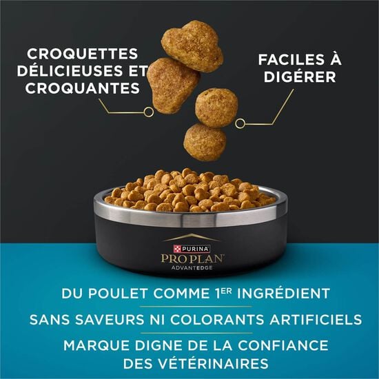 Nourriture s&egrave;che AdvantEDGE Soutien+ digestif au saumon et riz pour chats, 2,27 kg Image NaN