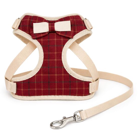 Ensemble harnais et laisse pour petits chiens ou chats Image NaN