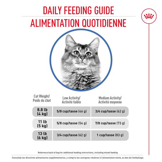 Formule Soin Minceur pour chats adultes Image NaN