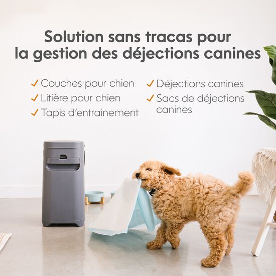 Dog Waste Disposal System Image NaN