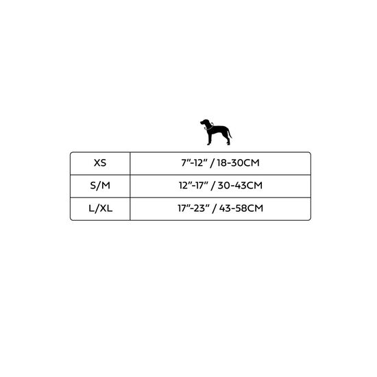 Bande rafraîchissante pour chiens Image NaN