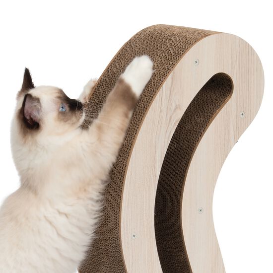 PIXI Scratcher, Cat Tail Image NaN