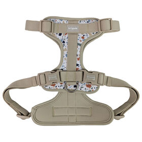 Harnais pour chiens, Terrazzo