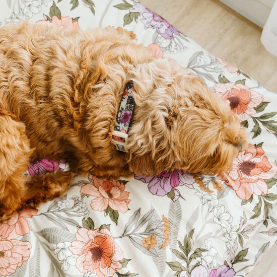 Collier en silicone pour chiens, Fleurs vintage Image NaN