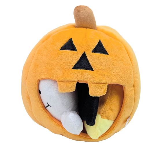 Ensemble de fouille Halloween pour chiens Image NaN