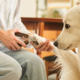 Nail Cutter for Dogs
