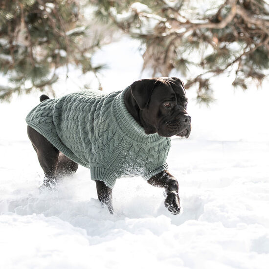 Chunky Cable Knit Turtleneck Chalet Sweater for Dogs Image NaN