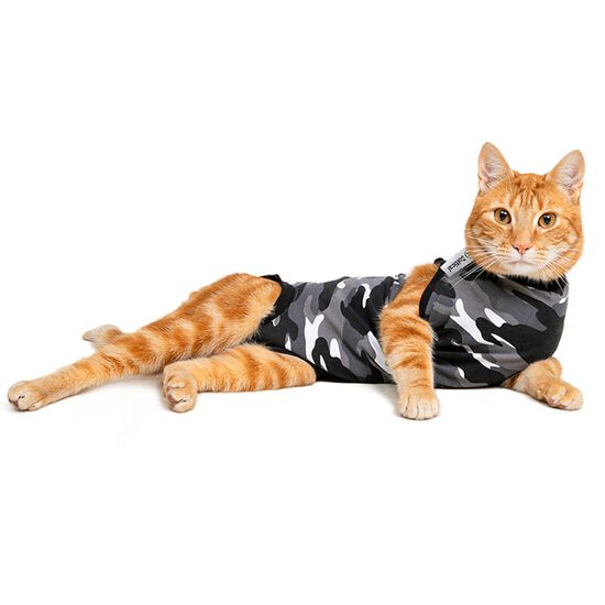 Vêtement de convalescence pour chats Image NaN