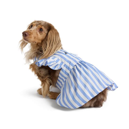 Striped Poplin Dress for Dogs Image NaN