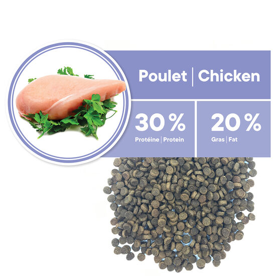 Formule Départ Santé au poulet pour chatons Image NaN