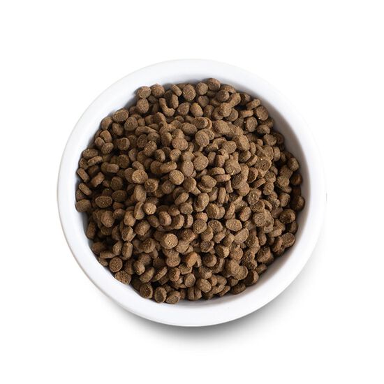 Grain Free Kitten Recipe Dry Food for Kittens Image NaN