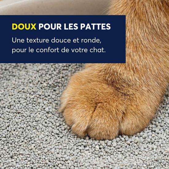Multi-cat Lightweight Litter Image NaN