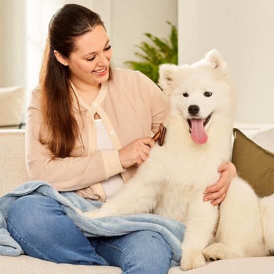 Beaded Pin Brush for Dogs Image NaN