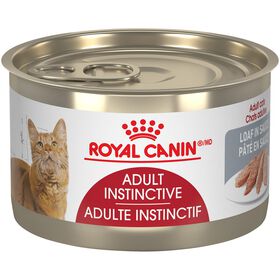 Nourriture humide pour chat adulte