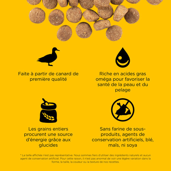 Recette « Skin + Coat Care » au canard avec grains pour chiens, 9,98 kg Image NaN