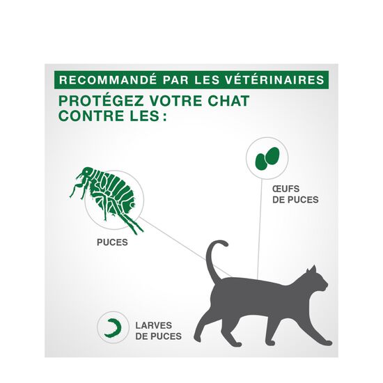 Protection topique contre les puces pour chats + de 4 kg, 6 un. Image NaN